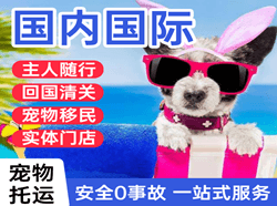 巴中恩阳机场快运国际宠物托运 【国